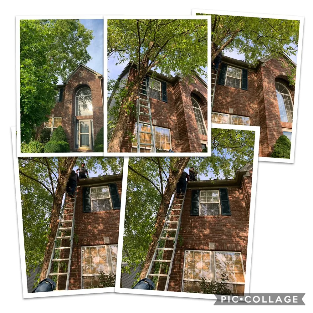 Local landscaping services with custom design across Indianapolis, IN - WL Landscaping & Cleaning