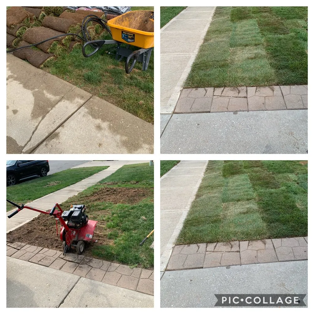 Local lawn care service in Indianapolis, IN - WL Landscaping & Cleaning