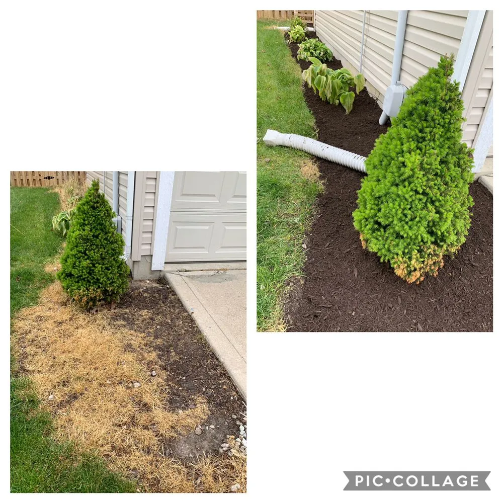 Expert landscaping services for year-round maintenance across Indianapolis, IN - WL Landscaping & Cleaning