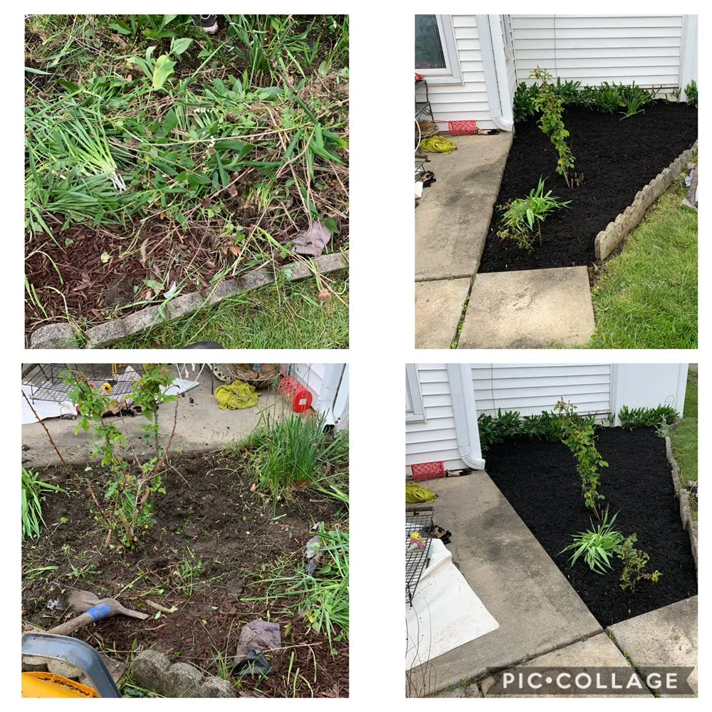 Reliable outdoor landscaping for homes in Indianapolis, IN by WL Landscaping & Cleaning