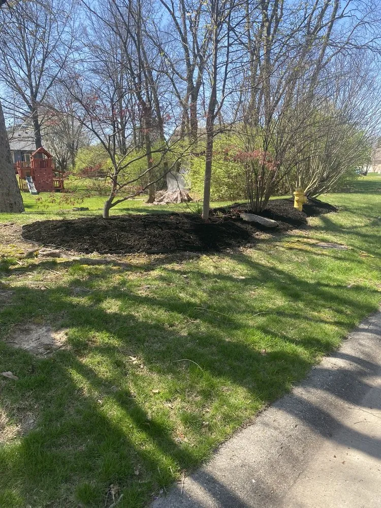 Trusted landscaping services in Indianapolis, IN - WL Landscaping & Cleaning