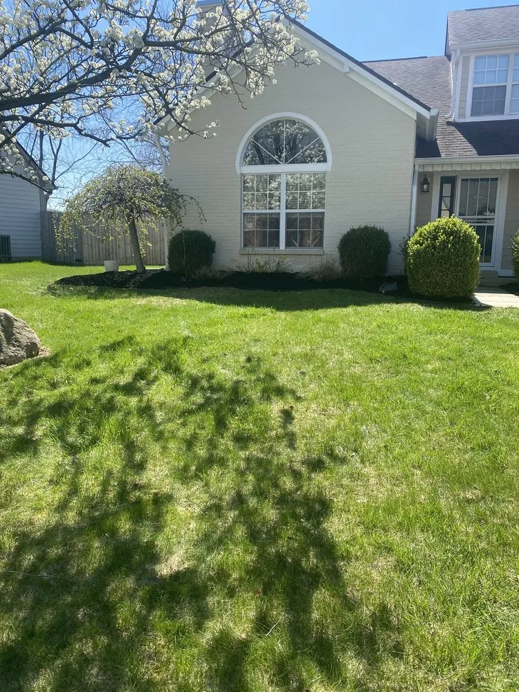 Trusted lawn care service in Indianapolis, IN - WL Landscaping & Cleaning