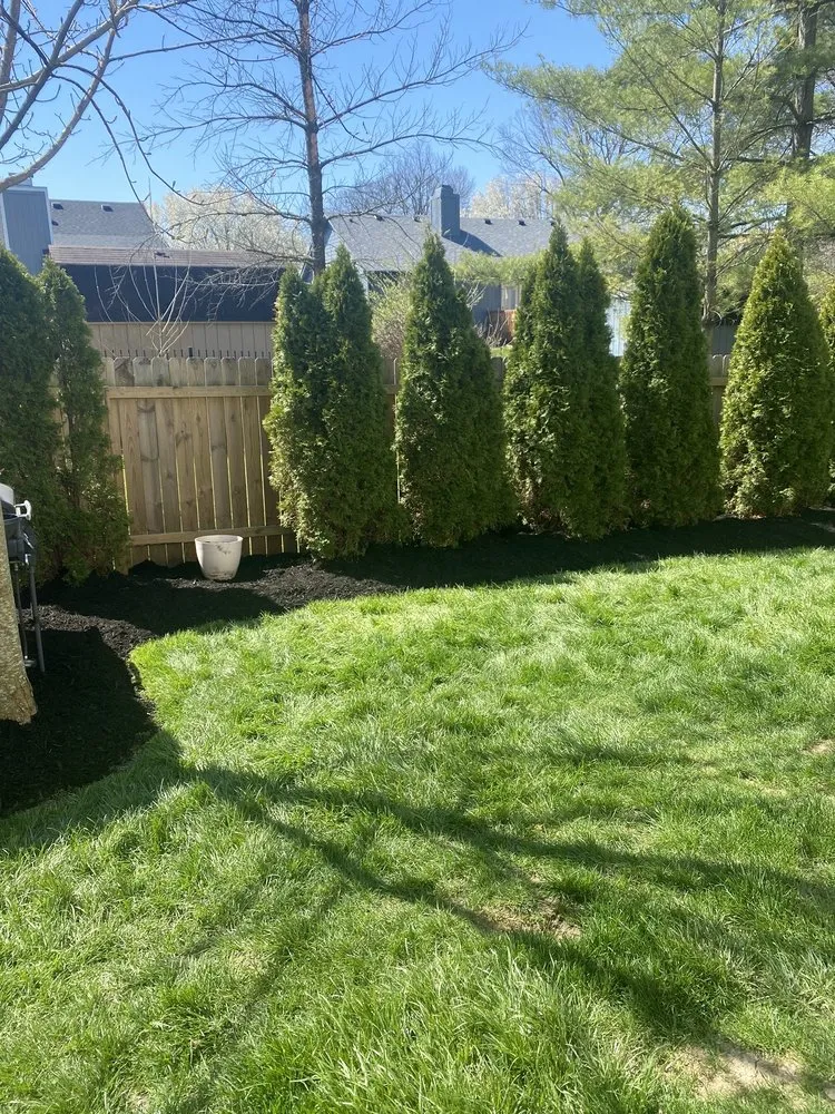 Top-rated yard cleanup service in Indianapolis, IN - WL Landscaping & Cleaning