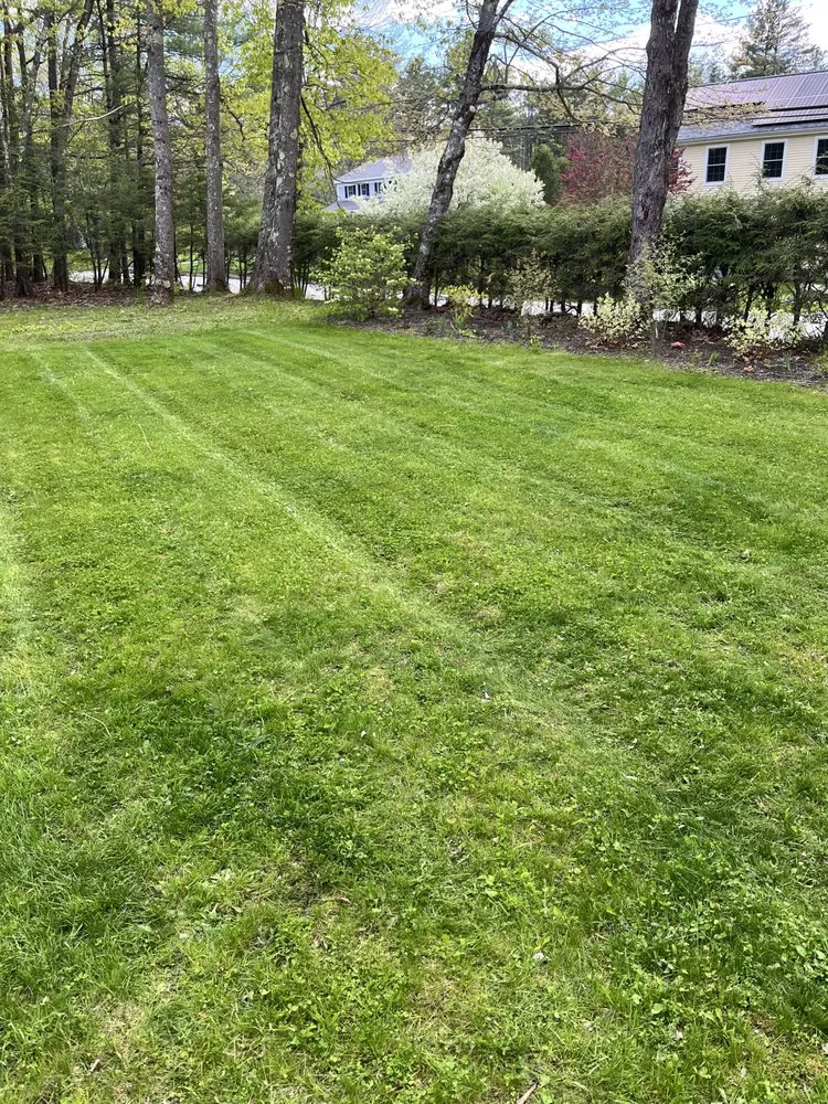Top-rated outdoor landscaping for year-round maintenance across Yarmouth, ME - Wl Lawns