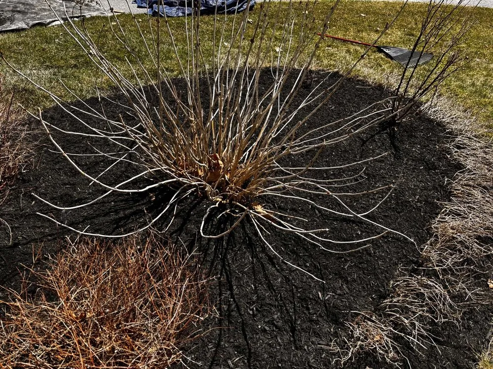 Trusted residential landscaping in Yarmouth, ME by Wl Lawns