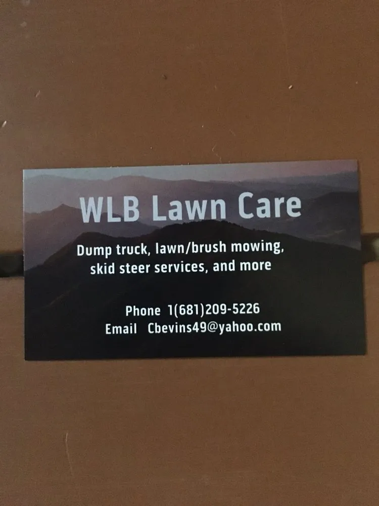 Professional yard cleanup service for residential properties in Bruceton Mills, WV by WLB Lawn Care