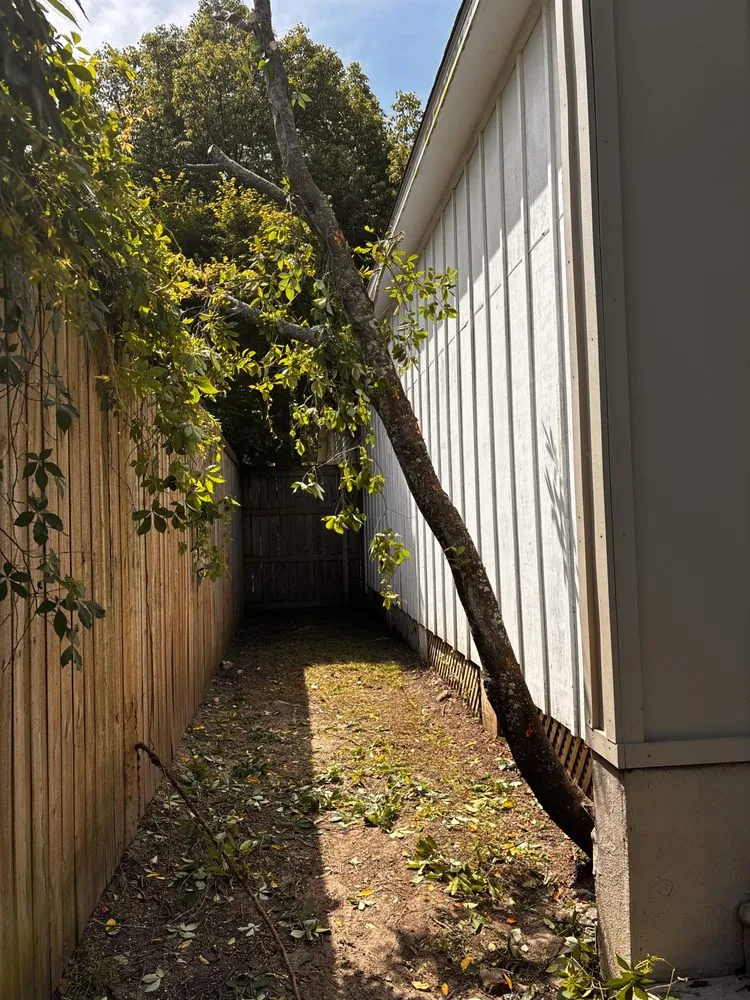 Local garden landscaping for outdoor upgrades across Mobile, AL - WLC Professional Construction and Landscape