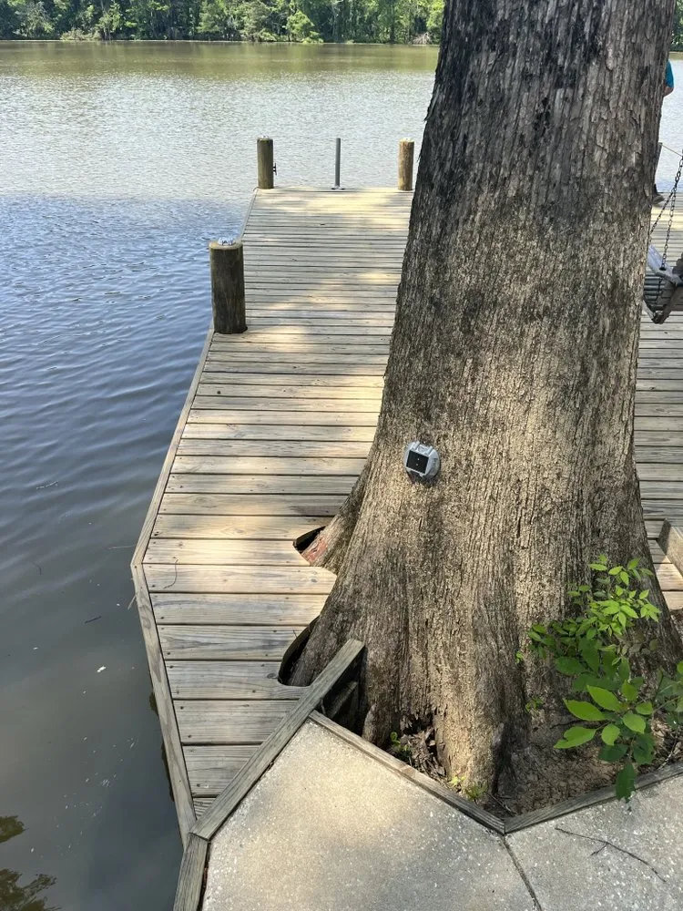 Affordable yard cleanup service in Mobile, AL - WLC Professional Construction and Landscape