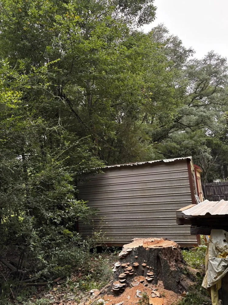 Custom landscaping services for outdoor upgrades in Mobile, AL by WLC Professional Construction and Landscape