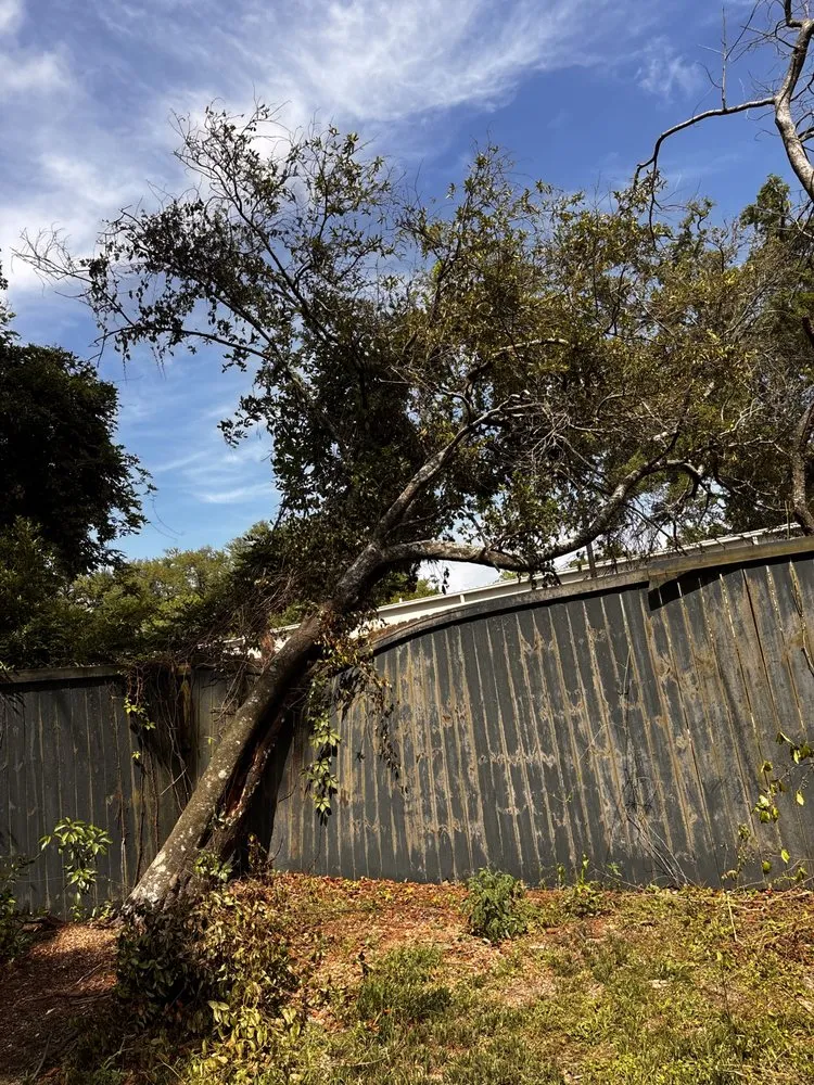 Reliable outdoor landscaping in Mobile, AL - WLC Professional Construction and Landscape