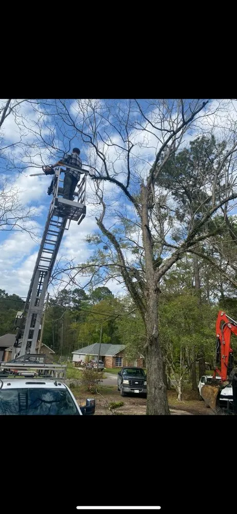 Reliable landscaping services in Mobile, AL by WLC Professional Construction and Landscape