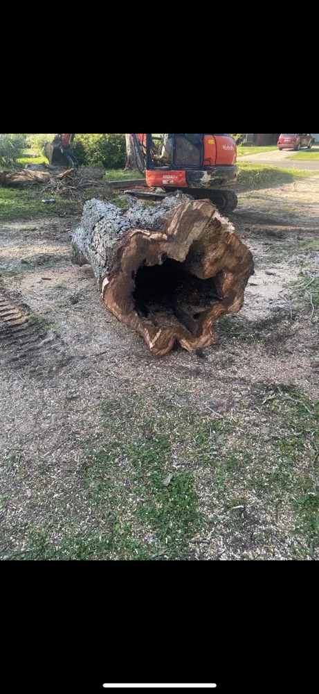 Reliable yard maintenance in Mobile, AL by WLC Professional Construction and Landscape