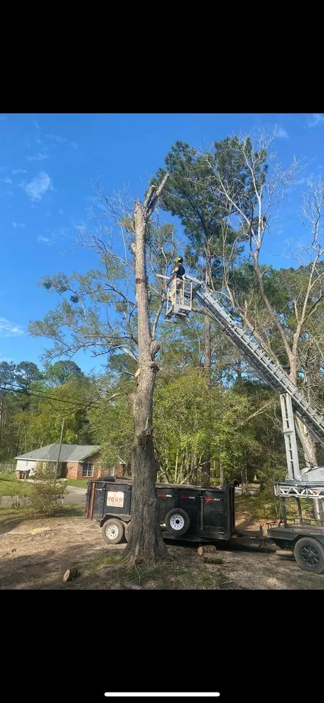 Affordable residential landscaping in Mobile, AL - WLC Professional Construction and Landscape