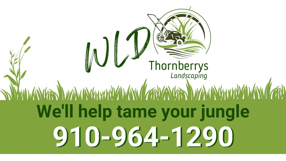 Affordable yard cleanup service in Hope Mills, NC by Wld Thornberry Landscaping