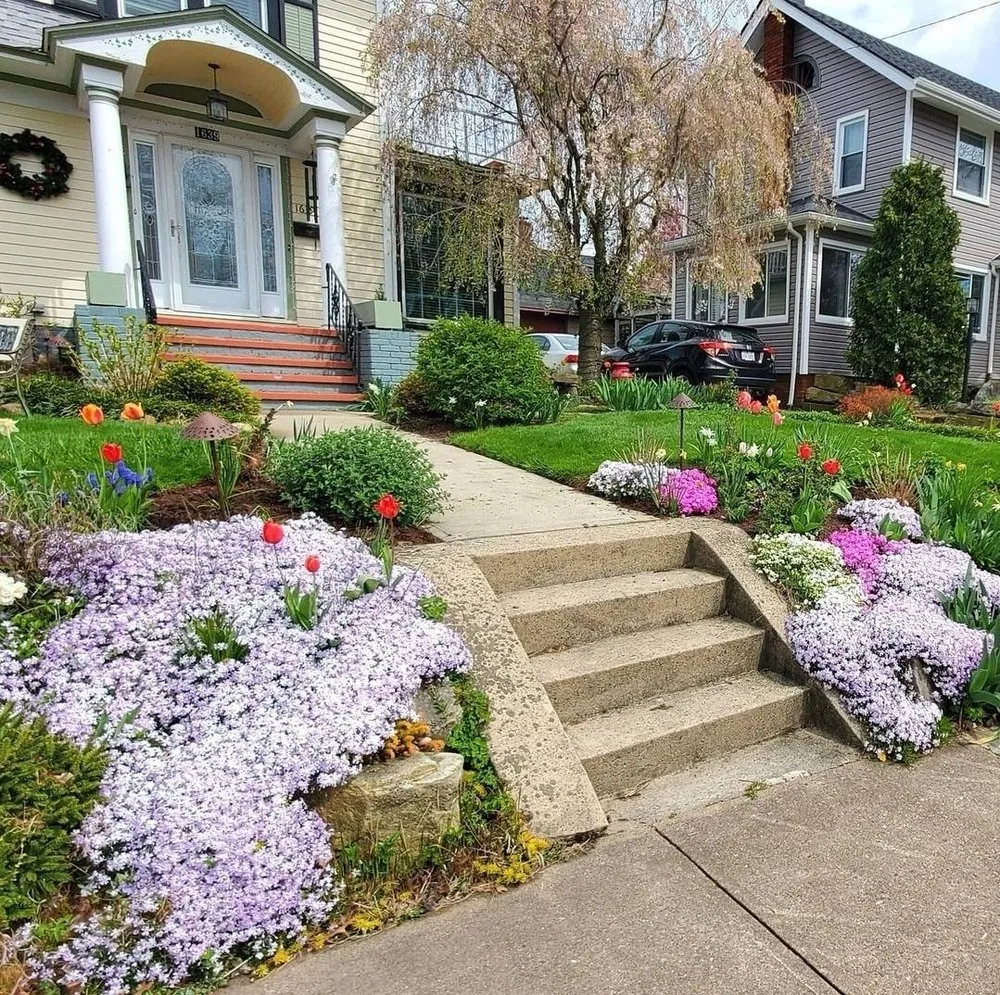 Professional landscaping services in Louisville, KY - WLDflora Landscape