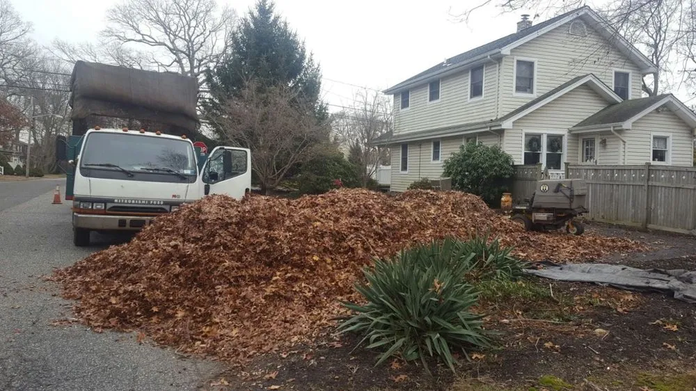 Expert yard maintenance for year-round maintenance across Patchogue, NY - WLG Enterprises