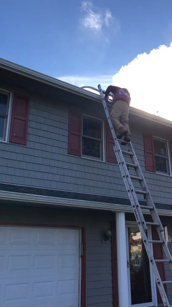 Trusted yard maintenance experts serving Patchogue, NY - WLG Enterprises