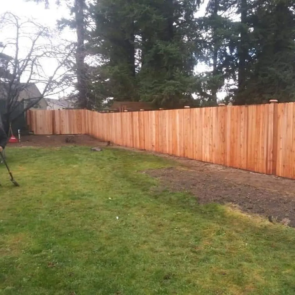 Affordable yard cleanup service for residential properties across Bellingham, WA - WLM