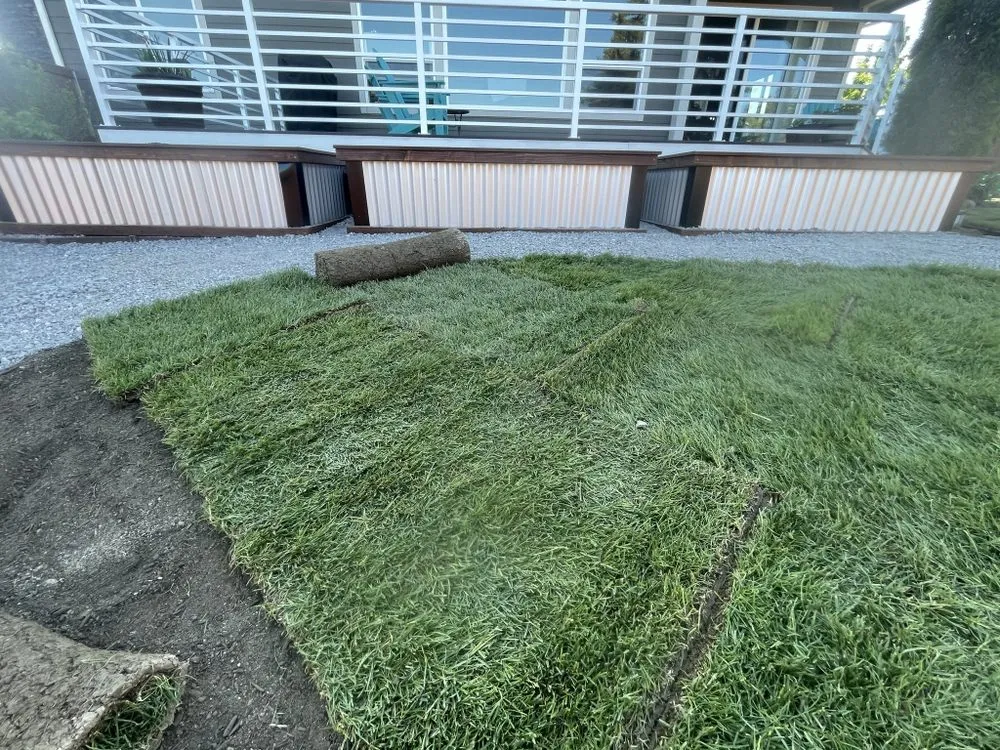 Local lawn mowing service in Bellingham, WA - WLM