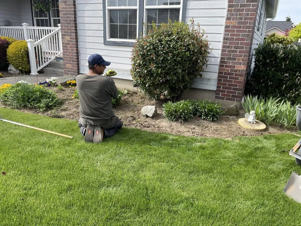 Expert lawn mowing service with custom design across Bellingham, WA - WLM