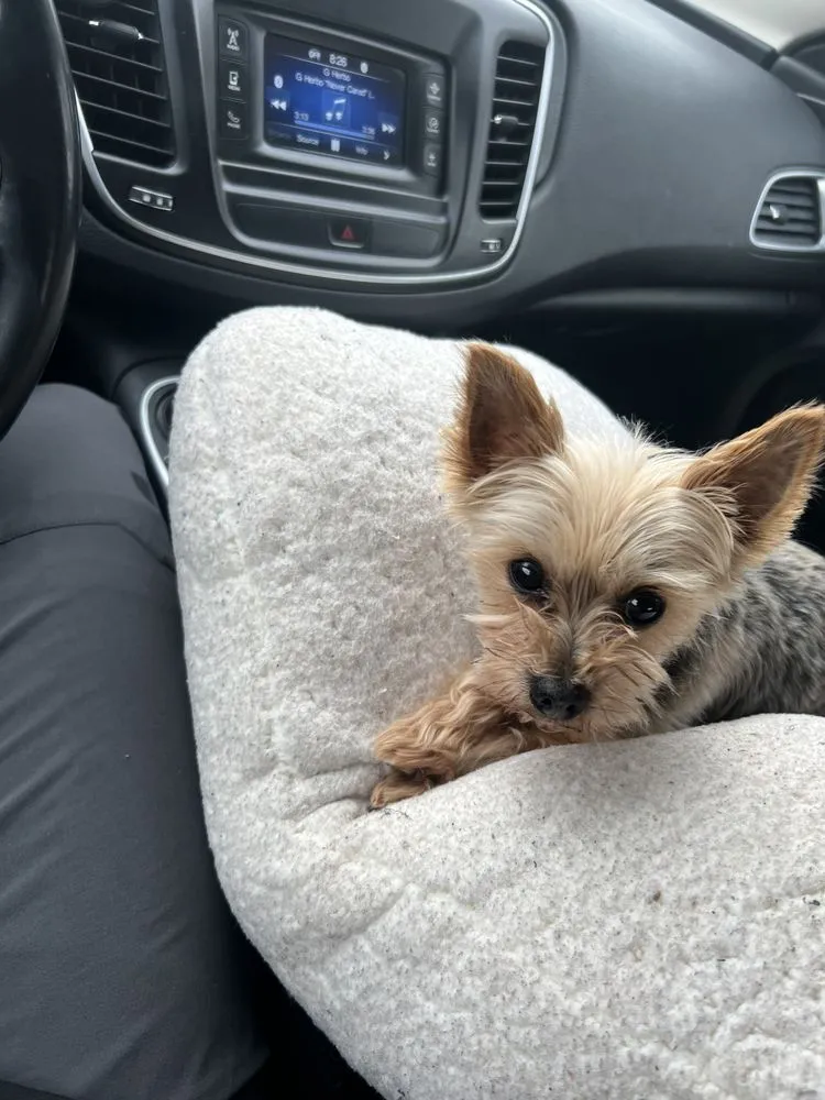 Top-rated lawn care service in Dover, PA - W&M Anaconda Lawnscaping