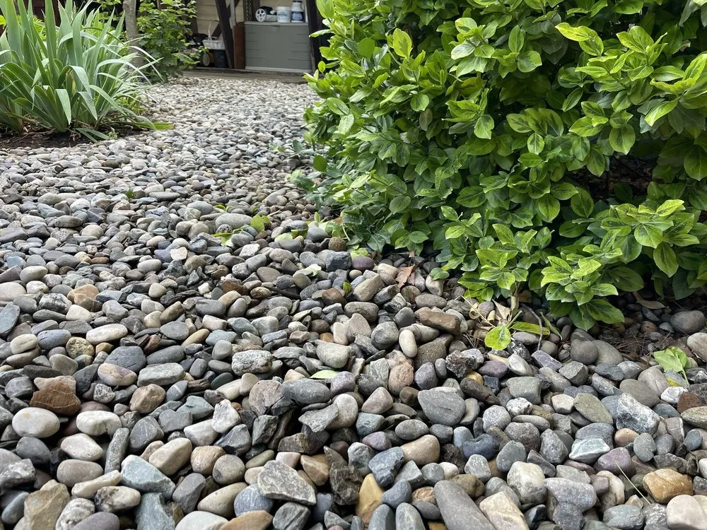 Affordable outdoor landscaping for year-round maintenance in Albany, NY by WM Biers