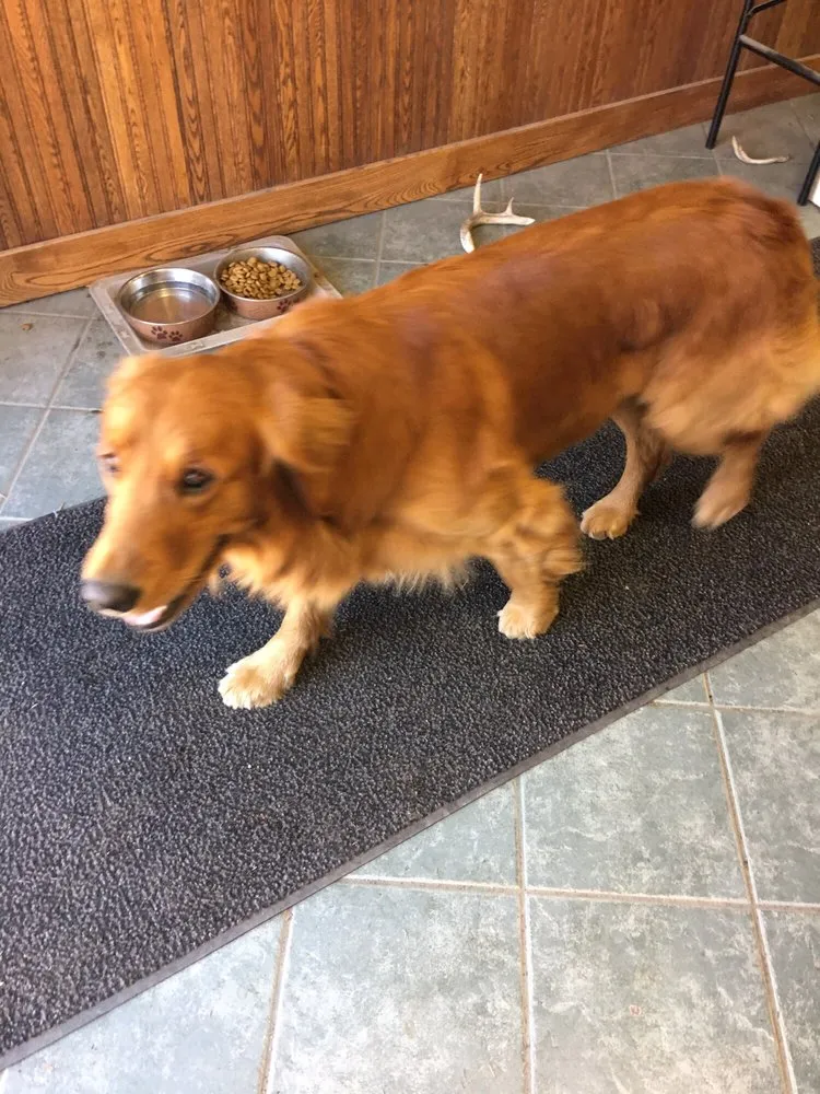 Custom residential landscaping with custom design in Albany, NY by WM Biers