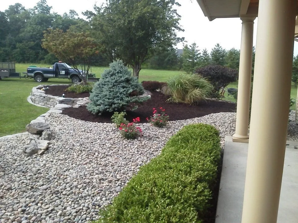Expert yard cleanup service for year-round maintenance across Albany, NY - WM Biers