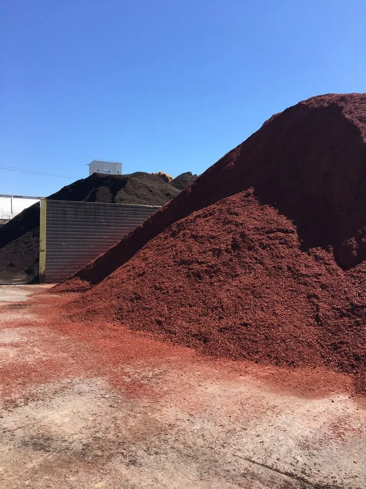 Reliable yard maintenance for beautiful yards in Albany, NY by WM Biers