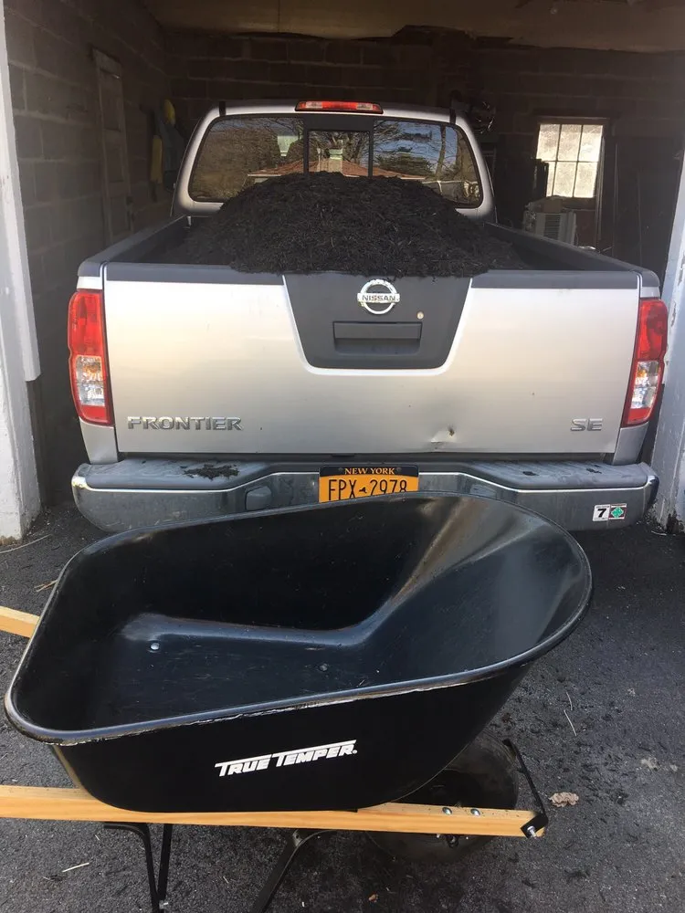 Professional lawn care service in Albany, NY - WM Biers