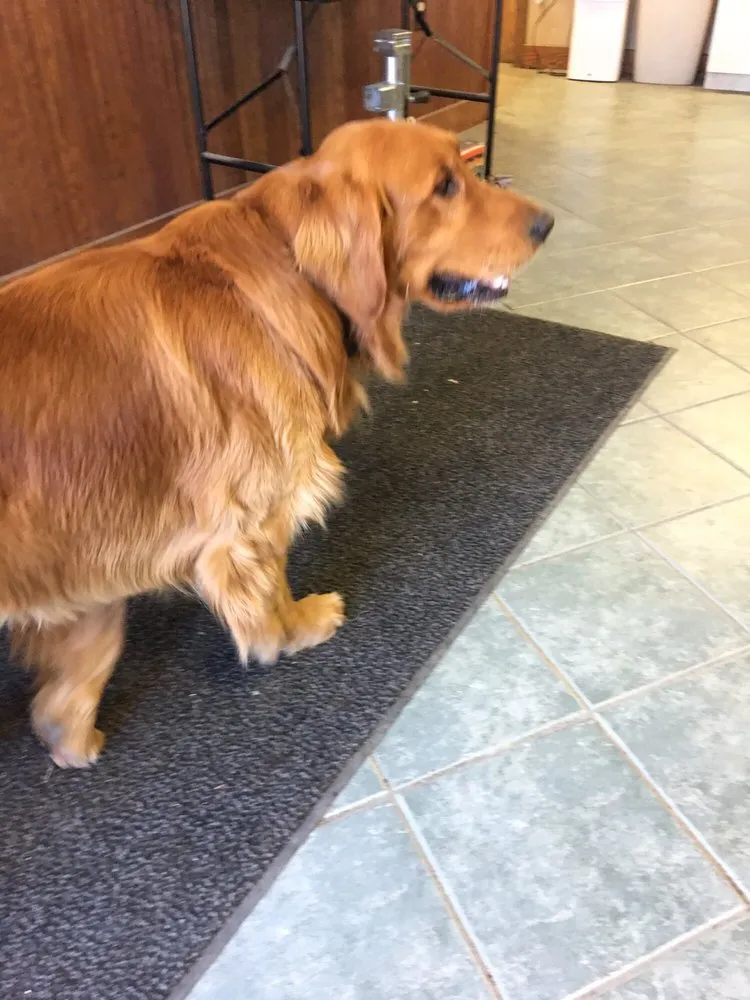 Trusted landscape installation in Albany, NY by WM Biers