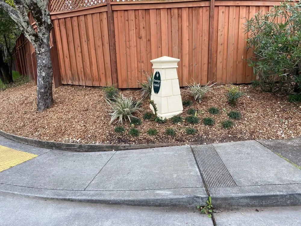 Affordable yard maintenance for beautiful yards across San Rafael, CA - WM Landscaping Gardening & Services