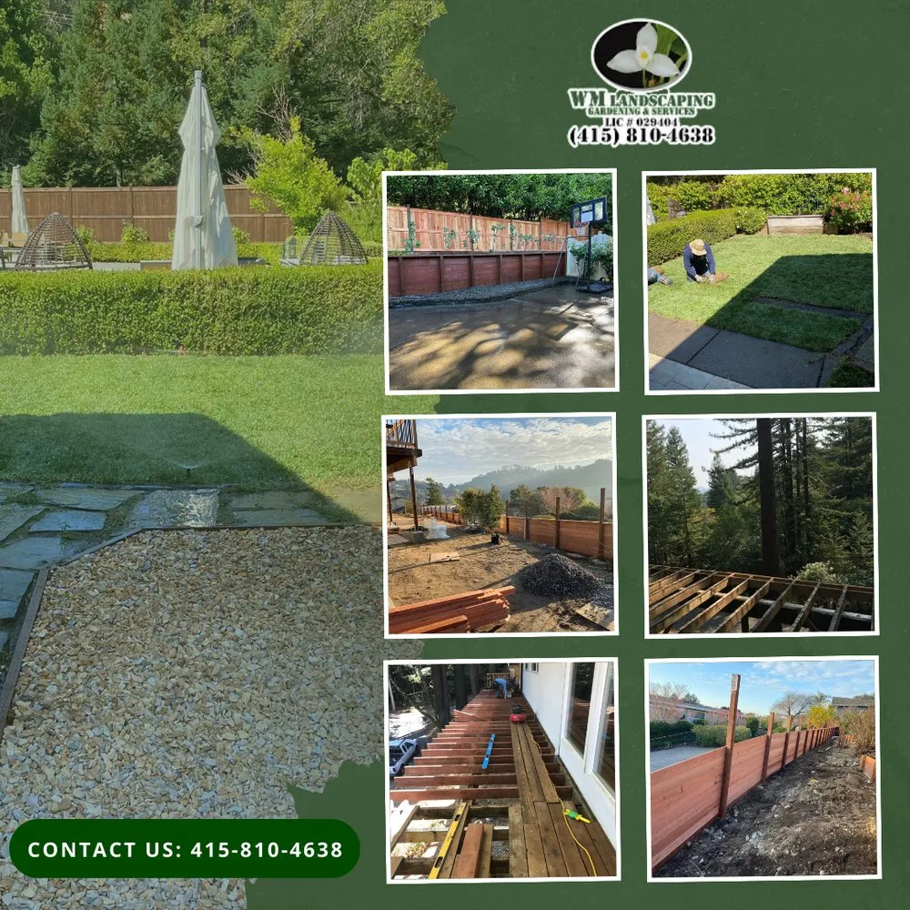 Expert landscape design in San Rafael, CA - WM Landscaping Gardening & Services