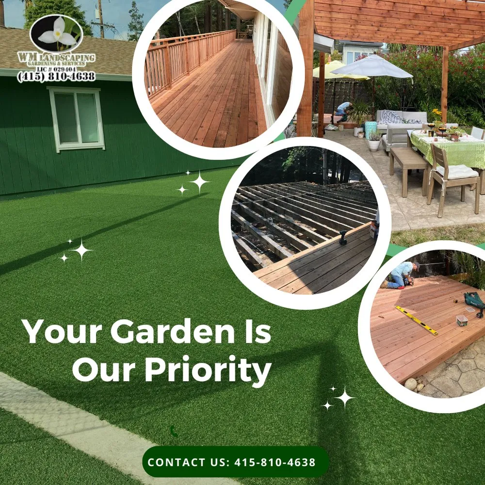 Trusted lawn care service in San Rafael, CA - WM Landscaping Gardening & Services