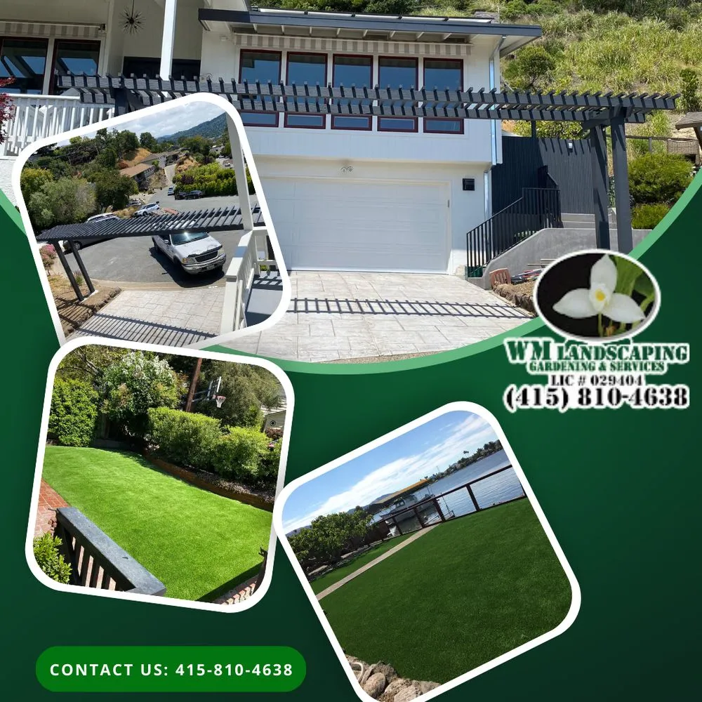 Trusted landscape installation in San Rafael, CA - WM Landscaping Gardening & Services
