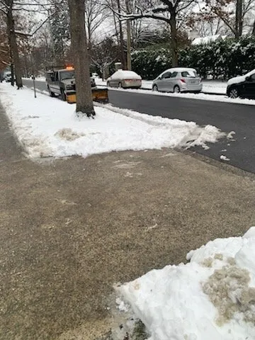 Reliable residential landscaping in Washington DC, DC - W&M Services