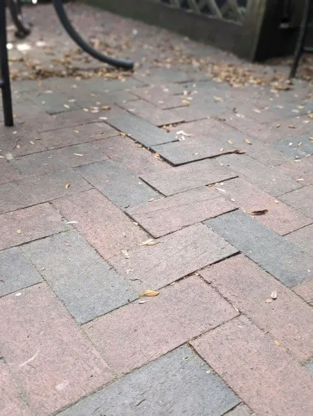 Affordable yard maintenance for beautiful yards in Washington DC, DC by W&M Services