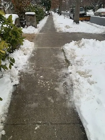 Reliable yard maintenance for outdoor upgrades in Washington DC, DC by W&M Services