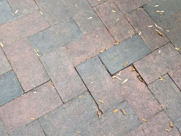 Affordable lawn mowing service for residential properties across Washington DC, DC - W&M Services