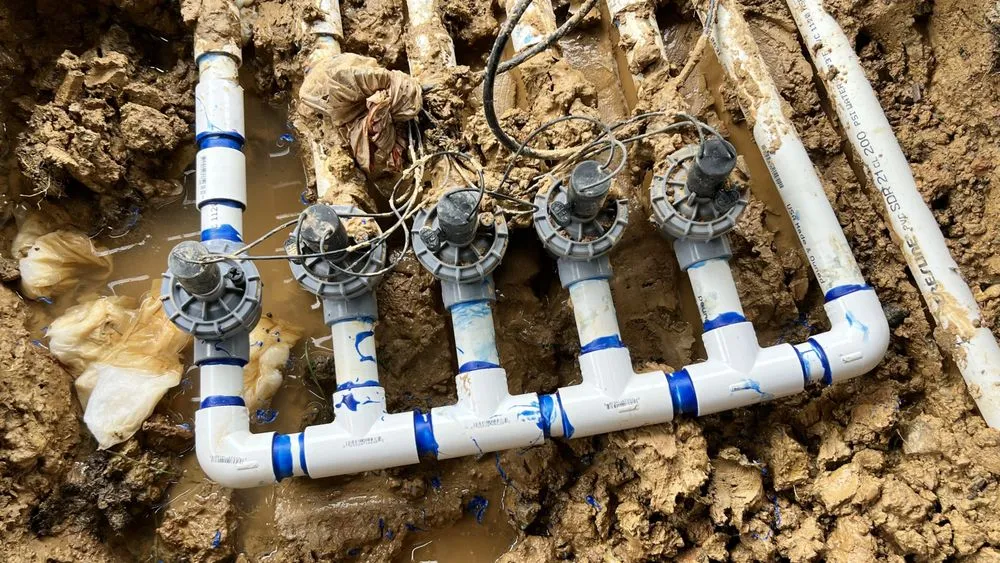 Professional landscape design near you in Alexandria, VA by W&M Sprinkler System