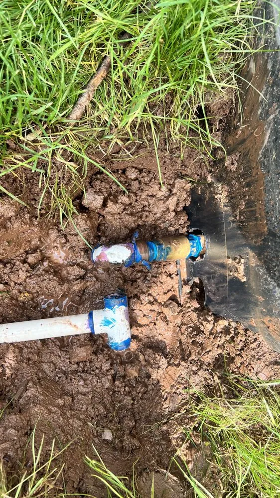 Trusted landscape design for residential properties in Alexandria, VA by W&M Sprinkler System