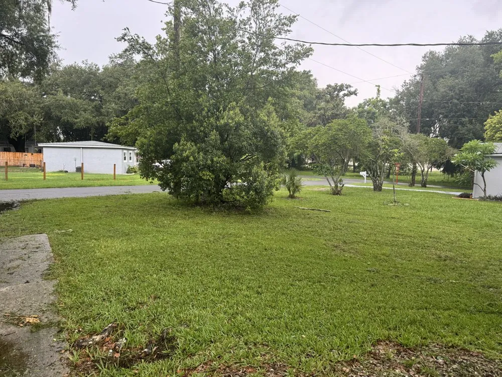 Reliable residential landscaping for beautiful yards across Plant City, FL - WMC Lawn and Land Management