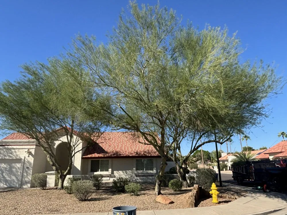 Affordable landscape design with custom design across Phoenix, AZ - Wmt Services