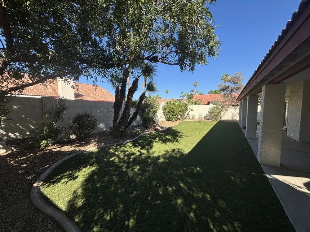 Affordable yard cleanup service in Phoenix, AZ by Wmt Services