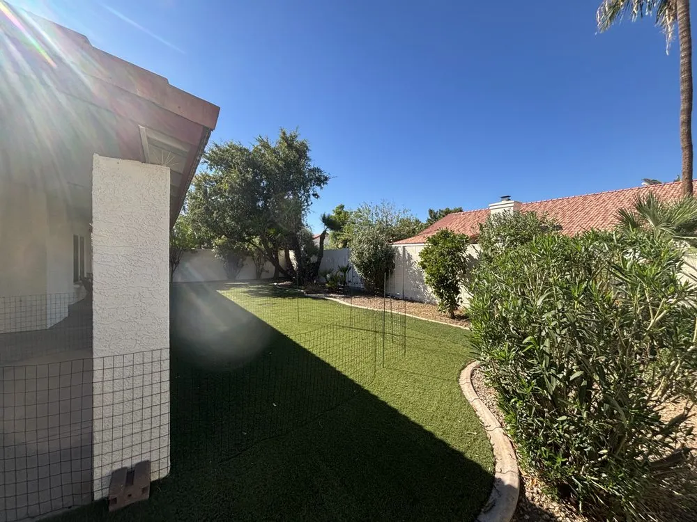 Reliable yard cleanup service in Phoenix, AZ by Wmt Services