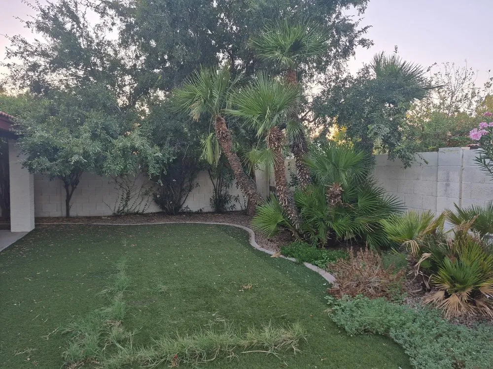 Reliable yard cleanup service for beautiful yards across Phoenix, AZ - Wmt Services