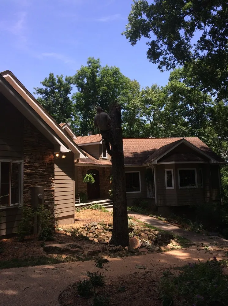 Expert outdoor landscaping for residential properties in Blairsville, GA by WMW Complete Services