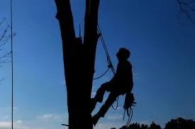 Trusted lawn mowing service experts serving Gettysburg, PA - W.N.B Landscaping