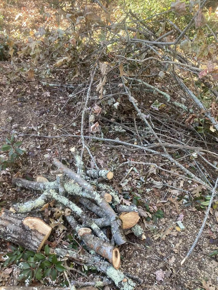 Expert outdoor landscaping near you in Spruce Pine, NC by WNC Cruz Tree Service