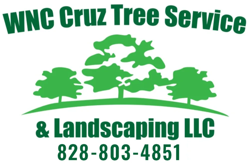 Professional residential landscaping in Spruce Pine, NC - WNC Cruz Tree Service